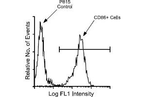 Flow Cytometry (FACS) image for anti-CD86 (CD86) antibody (FITC) (ABIN371183) (CD86 antibody  (FITC))
