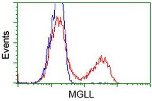 Image no. 3 for anti-Monoglyceride Lipase (MGLL) antibody (ABIN1499438)