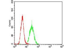 Flow cytometric analysis of Hela cells using PKHD1 Rat mAb (green) and negative control (red). (PKHD1 antibody  (AA 3878-4060))