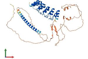 AlphaFold protein structure predicition of Human Recombinant GABPB2 Protein, UniprotID Q8TAK5 (GABPB2 Protein (AA 1-448) (His tag))