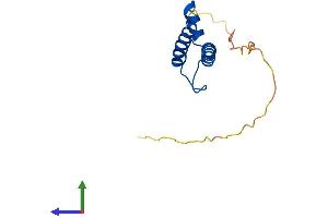 Protein Structure (PS) image for Nescient Helix Loop Helix 2 (NHLH2) (AA 1-135) protein (His tag) (ABIN7557816)