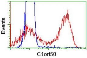 Image no. 3 for anti-Chromosome 1 Open Reading Frame 50 (C1ORF50) antibody (ABIN1497032) (C1ORF50 antibody)