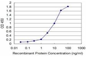 Detection limit for recombinant GST tagged HCLS1 is approximately 0. (HCLS1 antibody  (AA 266-355))