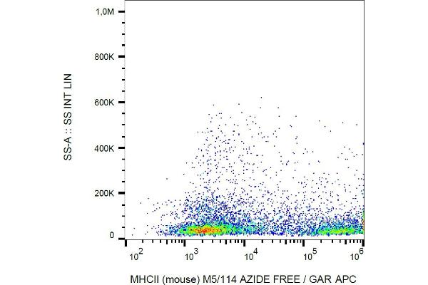 MHC Class II antibody