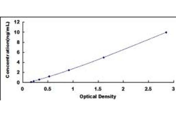 ARPC4 ELISA Kit