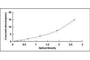 Typical standard curve (GSTP1 ELISA Kit)