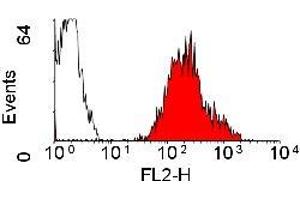 Staining of human peripheral blood lymphocytes with mouse anti human HLA-A2 - RPE antibody. (HLA-A2 antibody (PE))