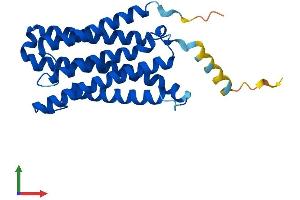 AlphaFold protein structure predicition of Mouse Recombinant Cyb561 Protein, UniprotID Q60720