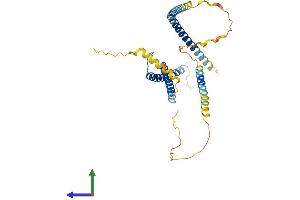 AlphaFold protein structure predicition of Human Recombinant TFAP4 Protein, UniprotID Q01664 (TFAP4 Protein (AA 1-338) (His tag))