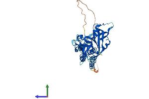AlphaFold protein structure predicition of Human Recombinant AIM2 Protein, UniprotID O14862