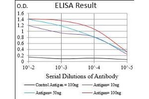 Black line: Control Antigen (100 ng), Purple line: Antigen(10 ng), Blue line: Antigen (50 ng), Red line: Antigen (100 ng), (KHDRBS2 antibody  (AA 160-349))