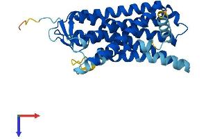 AlphaFold protein structure predicition of Human Recombinant OR5H14 Protein, UniprotID A6NHG9 (OR5H14 Protein (AA 1-310) (His tag))