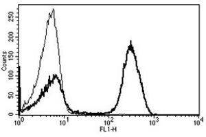 Flow Cytometry (FACS) image for anti-CD3 (CD3) antibody (FITC) (ABIN1106246) (CD3 antibody  (FITC))