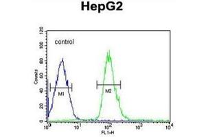 Flow cytometric analysis of HepG2 cells using DUSP2 / PAC1 Antibody (C-term) Cat.