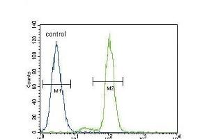 Flow Cytometry (FACS) image for anti-FER Tyrosine Kinase (FER) (AA 782-811), (C-Term) antibody (ABIN392094)