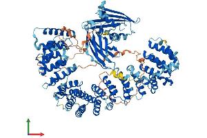 AlphaFold protein structure predicition of Human Recombinant AP2A1 Protein, UniprotID O95782 (alpha Adaptin Protein (AA 1-977) (His tag))