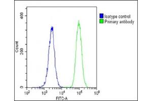 Overlay histogram showing U-2 OS cells stained with C(green line). (LIF antibody  (AA 72-101))