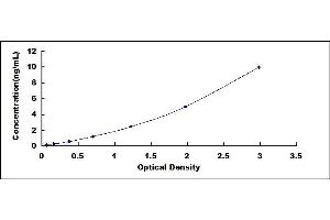 Typical standard curve (SLC13A2 ELISA Kit)