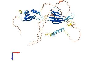 KCTD16 Protein (AA 1-428) (His tag)