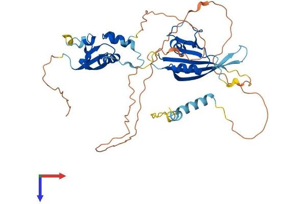 KCTD16 Protein (AA 1-428) (His tag)