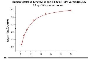 Immobilized Ofatumumab at 2 μg/mL (100 μL/well) can bind Human CD20 Full Length, His Tag, HEK293 (SPR verified) (ABIN6731296,ABIN6809865,ABIN6809866) with a linear range of 0. (CD20 Protein (AA 1-297) (His tag))