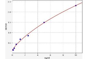 Prokineticin Receptor 1 ELISA Kit