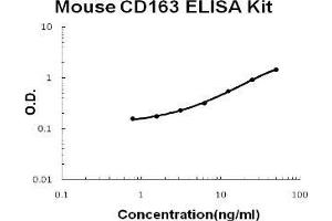 Mouse CD163 PicoKine ELISA Kit standard curve