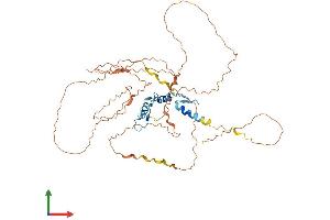 AlphaFold protein structure predicition of Human Recombinant EGR2 Protein, UniprotID P11161 (EGR2 Protein (AA 1-476) (His tag))