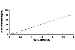 Typical Standard Curve (APP ELISA Kit)