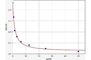 IFI44 ELISA Kit