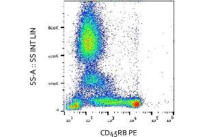 Surface staining of human peripheral blood with anti-CD45RB (MEM-55) PE. (CD45RB antibody  (PE))