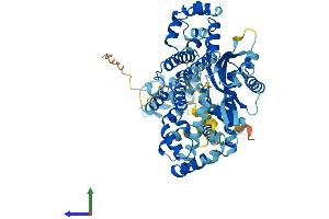 Protein Structure (PS) image for EPM2A (Laforin) Interacting Protein 1 (EPM2AIP1) (AA 1-607) protein (His tag) (ABIN7547392)