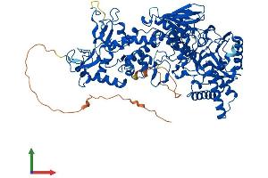 AlphaFold protein structure predicition of Mouse Recombinant Kdm1b Protein, UniprotID Q8CIG3