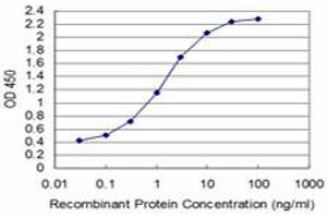 Detection limit for recombinant GST tagged T is approximately 0. (T Brachyury Protein (AA 222-320) antibody)