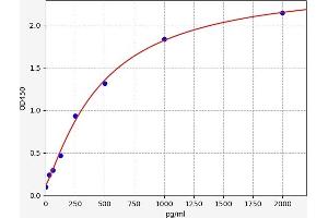 TP53BP1 ELISA Kit