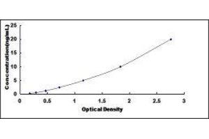 Mucin 12, Cell Surface Associated (MUC12) ELISA Kit