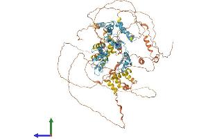 AlphaFold protein structure predicition of Human Recombinant ZKSCAN2 Protein, UniprotID Q63HK3
