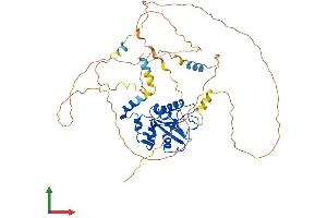 AlphaFold protein structure predicition of Mouse Recombinant Cdc25a Protein, UniprotID P48964