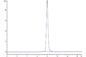 Size-exclusion chromatography-High Pressure Liquid Chromatography (SEC-HPLC) image for Platelet Derived Growth Factor Receptor alpha (PDGFRA) (AA 24-524) protein (His tag) (ABIN7275438)