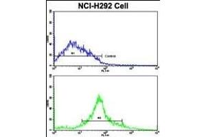 Flow cytometric analysis of NCI- cells using CDK3 Antibody (N-term Y19)(bottom histogram) compared to a negative control cell (top histogram). (CDK3 antibody  (N-Term))