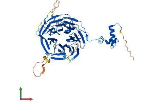 AlphaFold protein structure predicition of Mouse Recombinant Itfg2 Protein, UniprotID Q91WI7 (ITFG2 Protein (AA 1-443) (His tag))