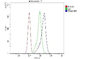Flow Cytometry analysis of CACO-2 cells using anti-FAM antibody (ABIN7603113). (TFAM antibody  (N-Term))