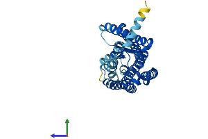 AlphaFold protein structure predicition of Human Recombinant OR1M1 Protein, UniprotID Q8NGA1 (OR1M1 Protein (AA 1-313) (His tag))