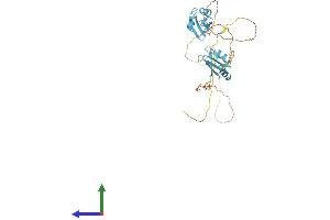 AlphaFold protein structure predicition of Mouse Recombinant Srsf6 Protein, UniprotID Q3TWW8