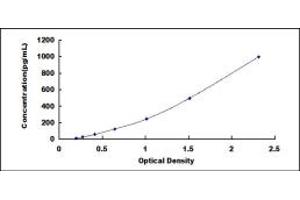 Chromosome 19 Open Reading Frame 80 (C19ORF80) ELISA Kit