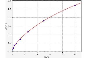 TRAF6 ELISA Kit