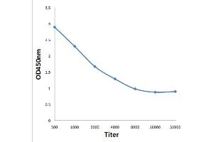 Antigen: 0. (LALBA antibody  (AA 61-142))