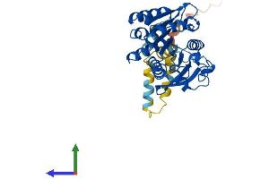AlphaFold protein structure predicition of Human Recombinant ABHD12B Protein, UniprotID Q7Z5M8 (ABHD12B Protein (AA 1-362) (His tag))