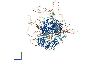 Protein Structure (PS) image for Phosphatidylinositol Transfer Protein, Membrane-Associated 2 (PITPNM2) (AA 1-1335) protein (His tag) (ABIN7564160)