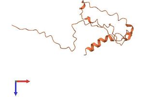 Blepharophimosis, Epicanthus Inversus and Ptosis, Candidate 1 (Non-Protein Coding) (BPESC1) (AA 1-116) protein (His tag)